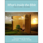 What's Inside the Bible: Themes in the Bible - Book by Book